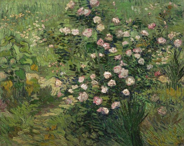 Vincent Van Gogh Roses